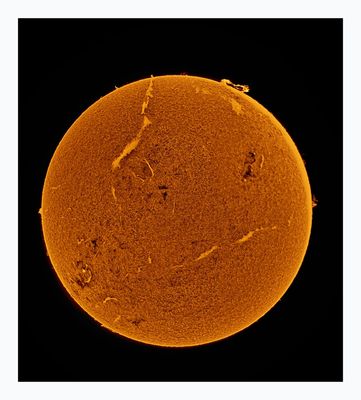 The Sun in Hydrogen Alpha with Solar Prominence