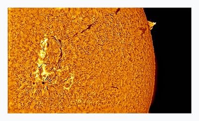 The Sun in Hydrogen Alpha with Solar Prominence
