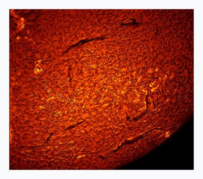 astrophotography2