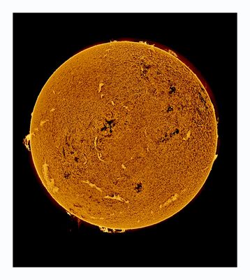 The Sun in Hydrogen Alpha with Solar Prominence