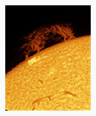 The Sun in Hydrogen Alpha with Solar Prominence