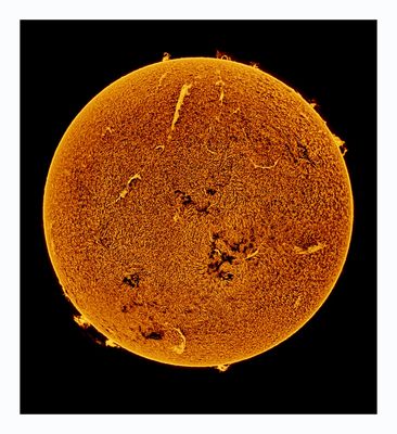 The Sun in Hydrogen Alpha with Solar Prominence