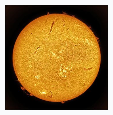 The Sun in Hydrogen Alpha with Solar Prominence