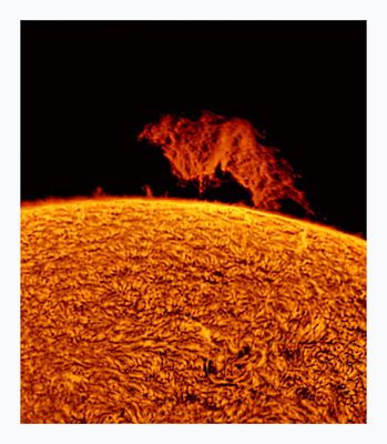 The Sun in Hydrogen Alpha with Solar Prominence