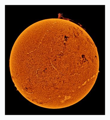 The Sun in Hydrogen Alpha with Solar Prominence