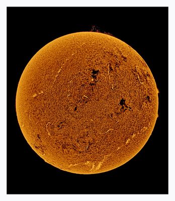 The Sun in Hydrogen Alpha