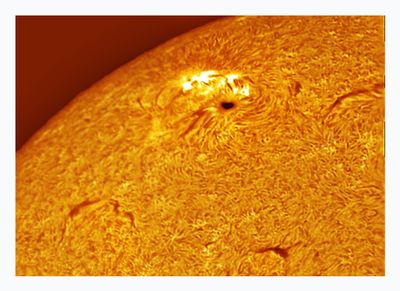 Sunspot