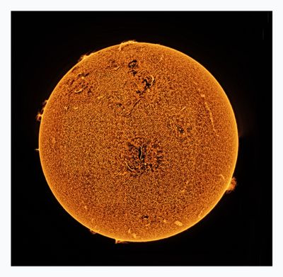 The Sun in Hydrogen Alpha with Solar Prominence