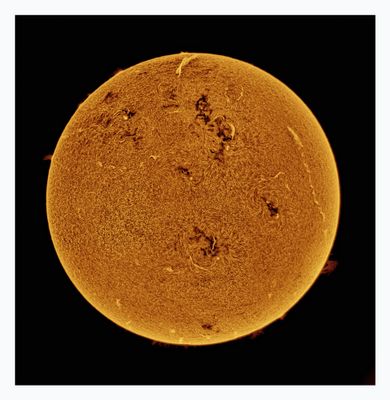 The Sun in Hydrogen Alpha