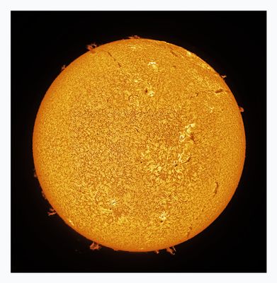 The Sun in Hydrogen Alpha with Solar Prominence