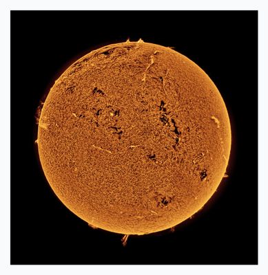 The Sun in Hydrogen Alpha with Solar Prominence