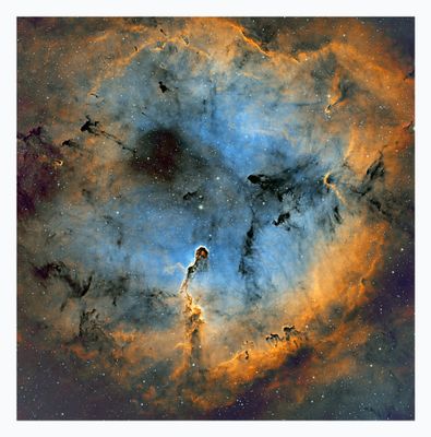Elephant`s Trunk Nebula