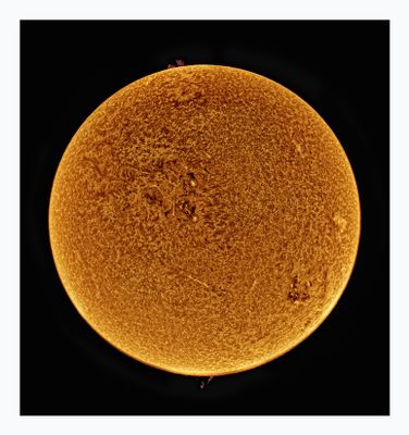 The Sun in Hydrogen Alpha with Solar Prominence
