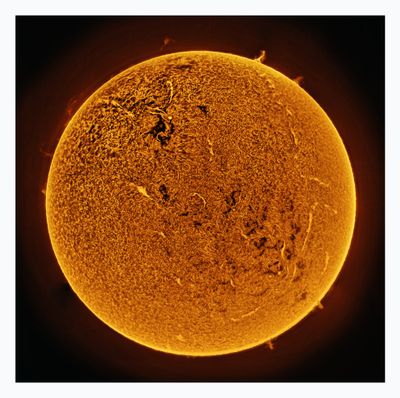 The Sun in Hydrogen Alpha with Solar Prominence