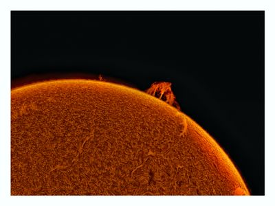 The Sun in Hydrogen Alpha with Solar Prominence