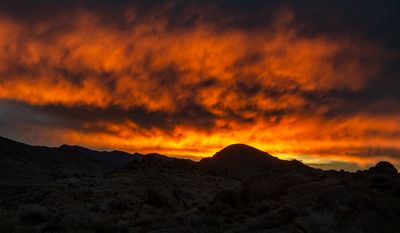 DSC_1128.jpg