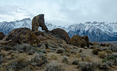 DSC_1145.jpg