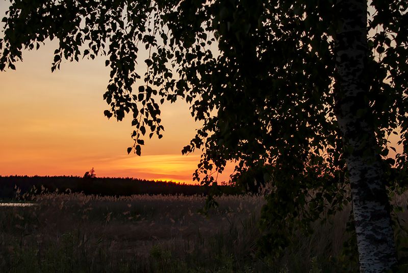 Solnedgång - sunset