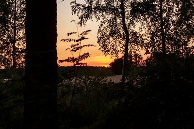 Solnedgång - sunset
