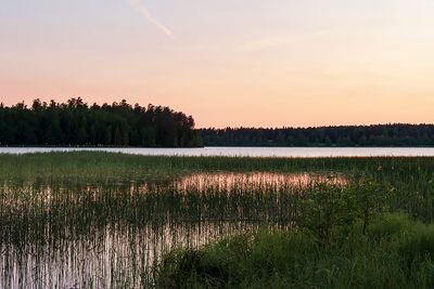 Kvällsljus - evening light