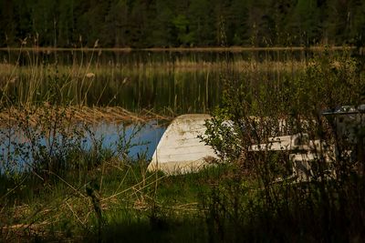 Den gamla båten - The old boat
