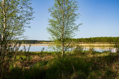 Sjöutsikt - view over the lake