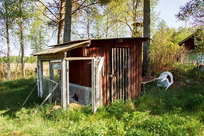 Det gamla skjulet - The old shed