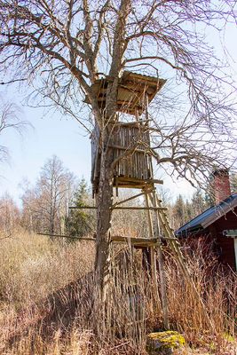 Fågeltornet - Bird watching tower