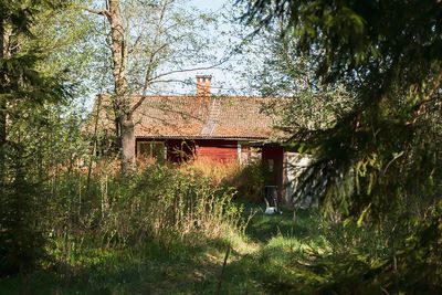 Det gamla huset - The old house