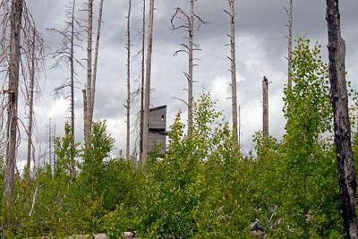 The Observation tower, Hälleskogsbrännan, augusti 2023