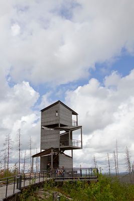 The Observation tower, Hälleskogsbrännan, augusti 2023