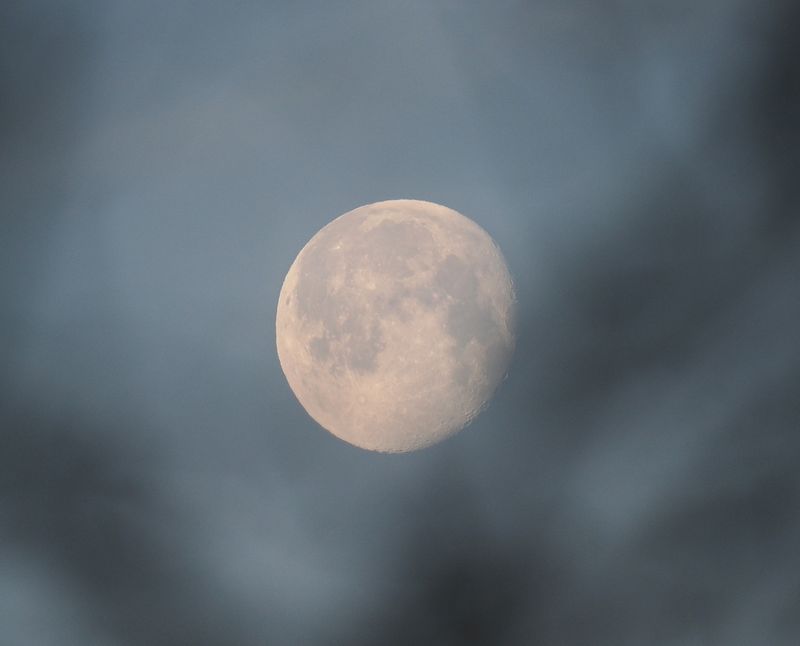 The Moon looking into my room through the leafless trees