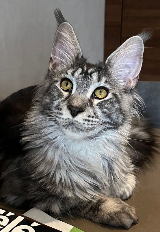 Spencer - 8 months