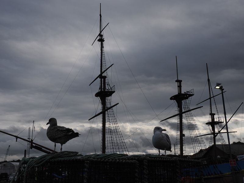 Pirates of the North Sea