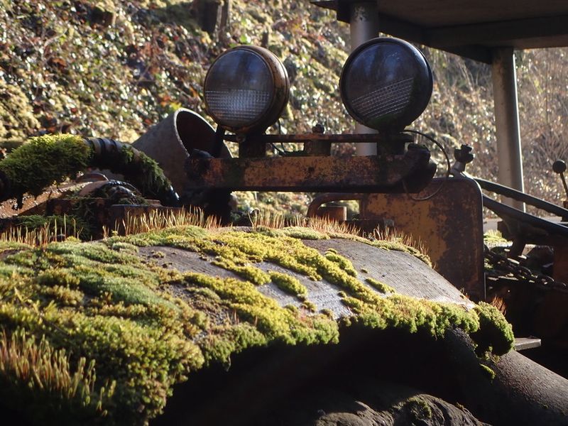 Nature taking over disused mining equipment