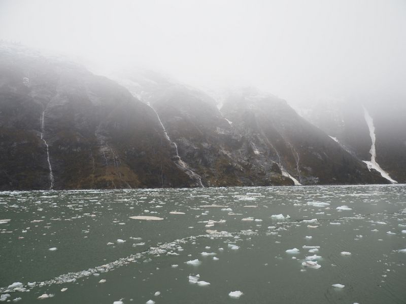 Tracy Arm - floating ice