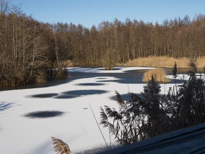 A dusting of snow on the frozen pond