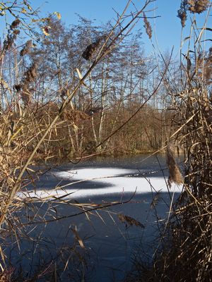 Snowy shape on frozen pond