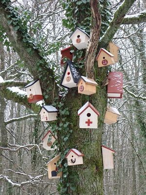 Interesting bird housing arrangement