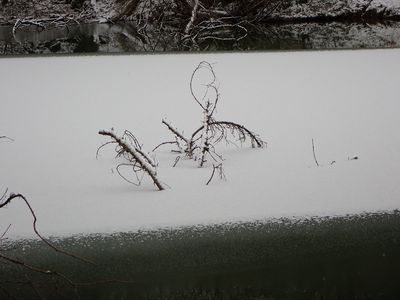 Partially frozen pond