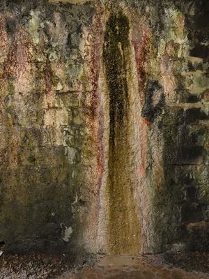 Water trickling down the walls of a disused railway tunnel