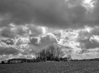 HDR Copse with wintry sky