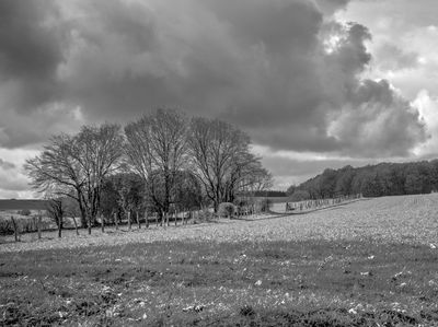 HDR Laden sky