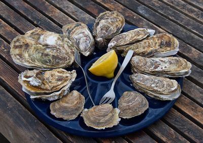 Oysters - dgustation d'hutres