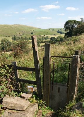 Walking in the Peak District - stile with dog portal