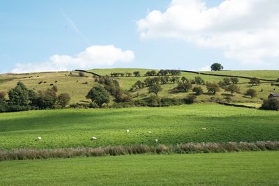 Landscape around Longnor