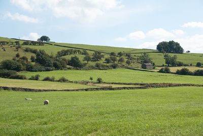 Landscape around Longnor