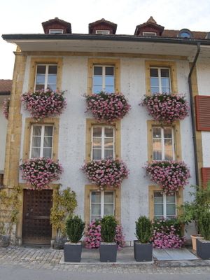 Beautiful flowery window sills