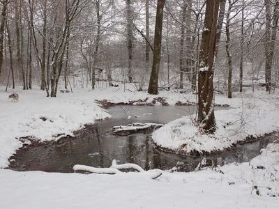 Partially frozen pond