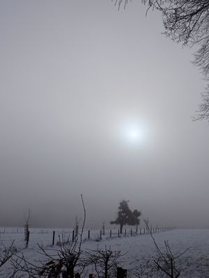 The sun fighting its way through the mist
